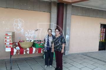 Éxito del evento benéfico organizado por Punto y Seguido (Foto TA)